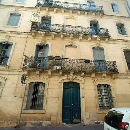 Appartement Spacieux T3 Place Comedie Gare Saint Roch Montpellier