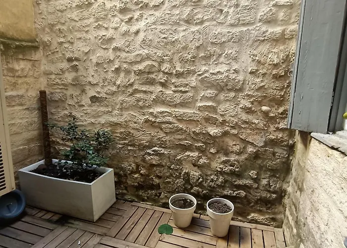 Daire Spacieux T3 Place Comedie Gare Saint Roch Montpellier